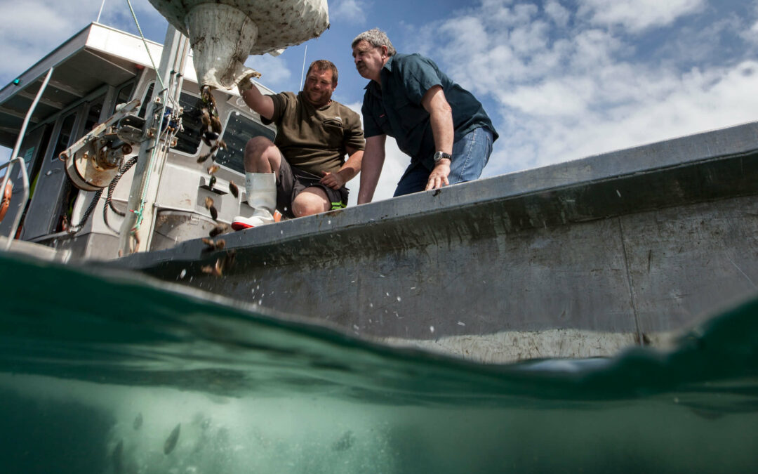 Hauraki Gulf Regeneration Fund