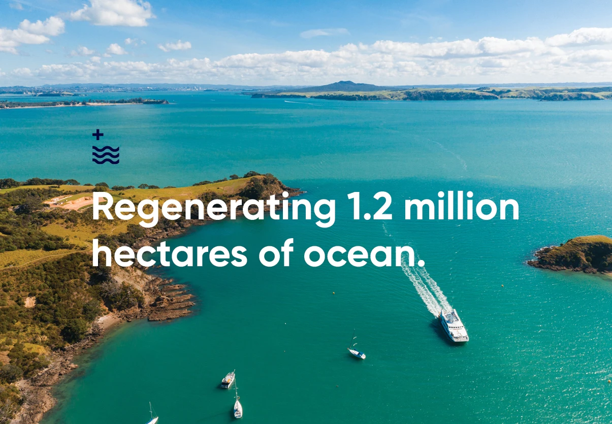 Helping Auckland Foundation in protecting and restoring a unique resource – The Hauraki Gulf.